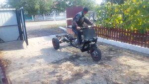 муравей с двигателем от китайского мопеда