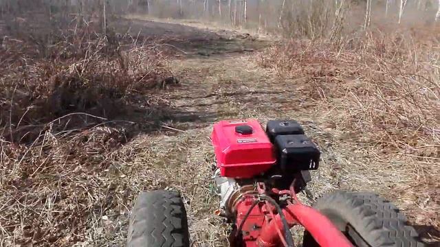 Еду смотреть чеснок на мотоблоке  Весна 2018