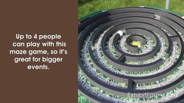 The Maize Maze: A Corn Maze Game смотреть онлайн