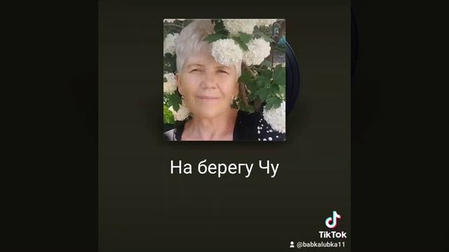 На берегу чу на звонок. Караоке на берегу Чу.