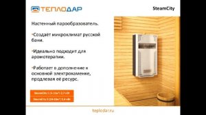 Печи электрокаменки и парообразователи для бань и саун. Вебинар от ГК «Теплодар»