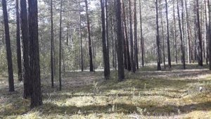 Выбор способов ориентирования, часть 2
