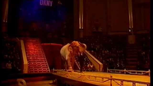 Архив. 1998 год. Цирк на Цветном бульваре. Жёлтый трайк.