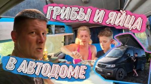 Мазда может. Готовим грибы в автодоме и не только...