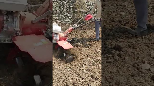 Honda GX 270 performance смотреть онлайн