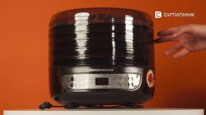 Обзор сушилки для овощей и фруктов Redmond RFD-0172 | Ситилинк