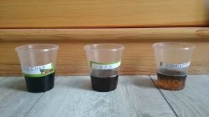 Эксперимент с активированным углём.