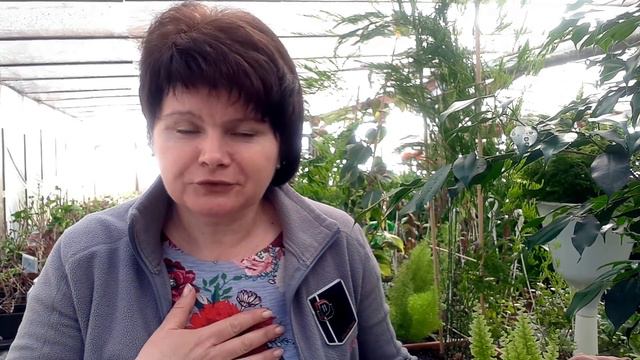 Новые возможности для всех! смотреть онлайн