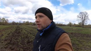 Способ применения навоза в качестве удобрения. Секретная технология русских