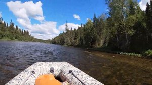 Река Велс. Лодка РиБ, тоха 50 водомет