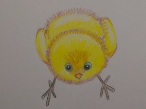 Как нарисовать цыпленка. Простой рисунок