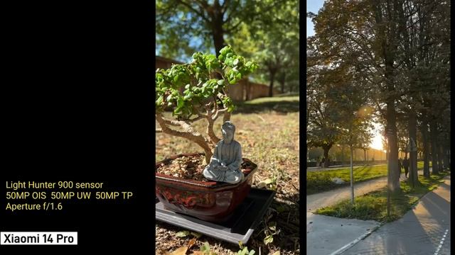 Xiaomi 14 Pro Camera Test | Zoom Test Video | 4k