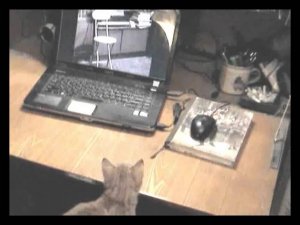 Крош смотрит себя на видео