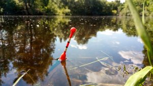 Карась на МАНКУ в  ЖАРУ на ЛЕСНОМ ОЗЕРЕ! Ловля на поплавок