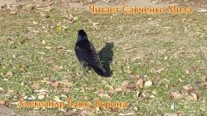 Александр Блок- Ворона читает Савченко Мила