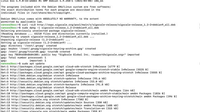 Installing SigScale OCS on Debian 9 (stretch) смотреть онлайн