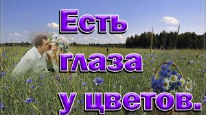 Музыка и песни прошлых лет. Есть глаза у цветов.