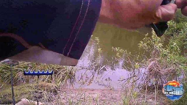 По ту сторону фидера/выходной на реке Ворона/Борисоглебск смотреть онлайн