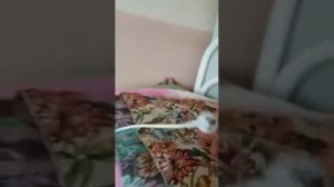 Живая и Мертвая вода,делаем ионизатор. Часть 1
