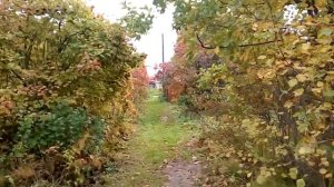 Продается дача, деревня Кривое, Добрянский район, Пермский край