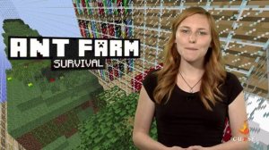 Minecraft - Ant Farm Survival Community Creation