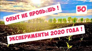 ОПЫТЫ И ЭКСПЕРИМЕНТЫ 2020