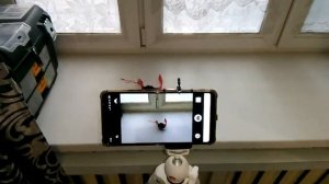 Быстрый обзор про часы Skmei 1301 и Skmei 1385