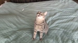 lv_0_20240224124423.mp4