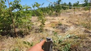 Шпалеры для малины и других плодоносящих растений своими руками!