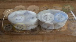 ЗАМАЧИВАНИЕ СЕМЯН ПЕРЕД ПОСЕВОМ