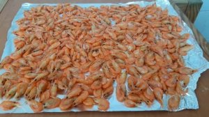 Киветки. Закуска к пиву. Сушёная криветка