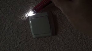 Бесконтактный тестер проводки Milwaukee 2203-20