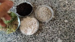 Грунт для хищных растений.