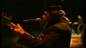 Пикник Настоящие дни