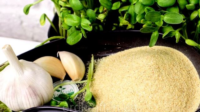 Чесночный порошок - Полезные свойства и вред для здоровья смотреть онлайн