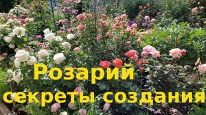 Как создать красивый розарий