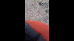 Коп на высохшем озере с металлоискателем GoFind 60