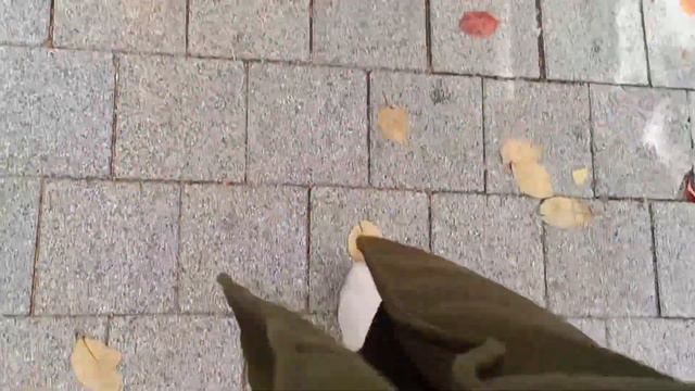 Day 3 Solo travelling to South Korea | Starfield Library + Namu cafe (Pinay solo traveller) смотреть онлайн