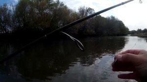 Голавль. Крэнки. Отличная рыбалка.