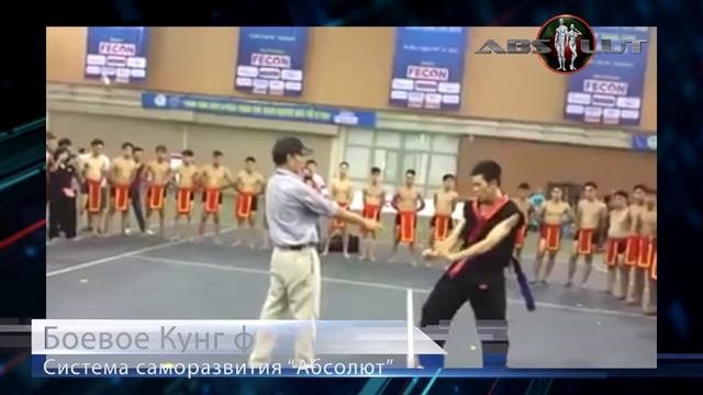 Какие есть основные направления единоборств. Боевое, спортивное, оздоровительное