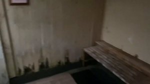 Искупаемся в купели Оптина Пустынь