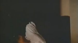 Мстящий кулак Брюса ( боевые искусства, Брюс Ли 1980)