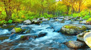 Расслабляющий шум реки - Звуки реки в лесу, Шум реки и Плеск воды, Шум Воды в реке  и Пение птиц