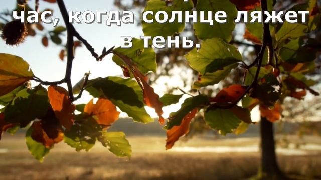 Доброго осеннего утра и прекрасного дня! СТИХиЯ.