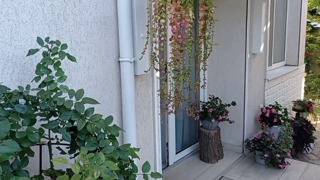 Тотальная уборка на террасе и в беседке, играюсь в горшочки)) смотреть онлайн