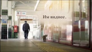 Город кошек   Трейлер с русскими субтитрами.mp4