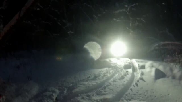 Рм 650-2 и рм 500-2 по лесу ! смотреть онлайн