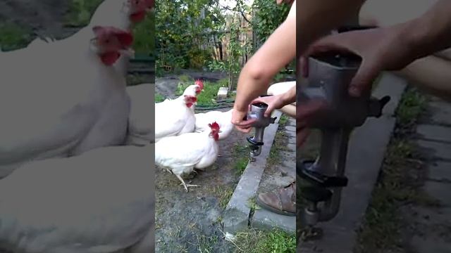 быстрая чистка мясорубки