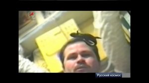 Животные в невесомости