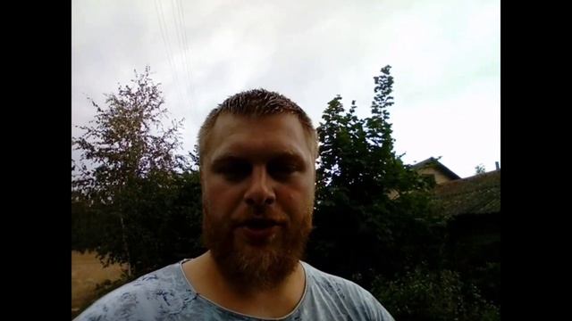 Укоренение зеленых черенков голубики. Первые почки. Сложности размножения